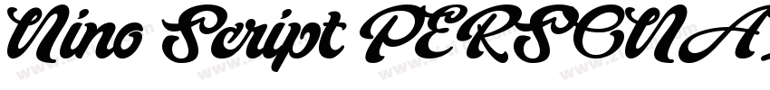 Nino Script PERSONAL字体转换